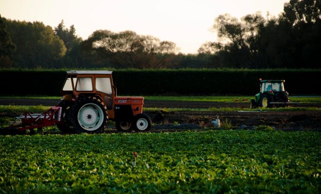 Co kupić rolnikowi na prezent?