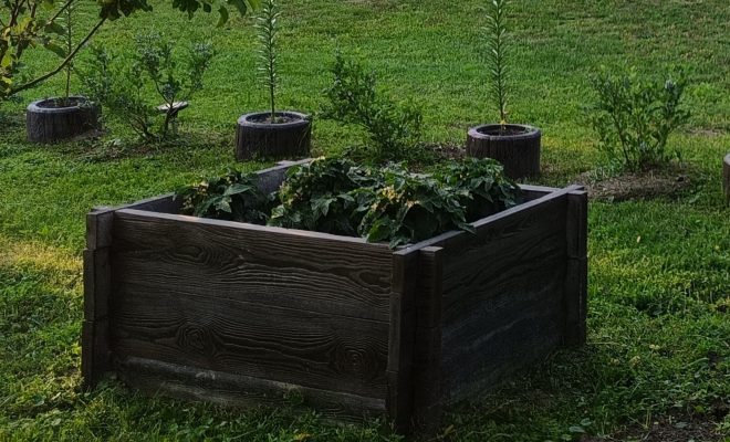 Architektura przyszłości: Harmonijne połączenie estetyki drewna i trwałości betonu