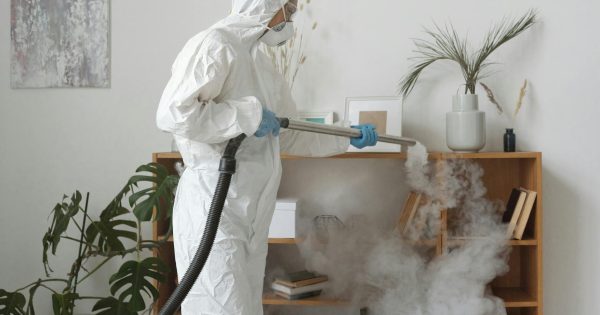 Dezynfekcja, Dezynsekcja, Deratyzacja