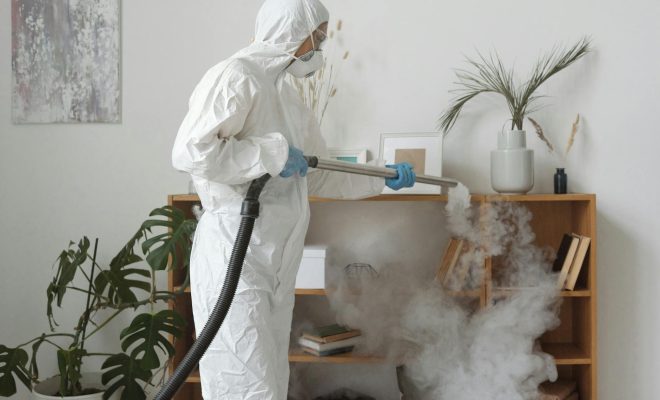 Dezynfekcja, Dezynsekcja, Deratyzacja