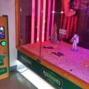 Personalizowane automaty do gier – jak wyróżnić swój biznes?