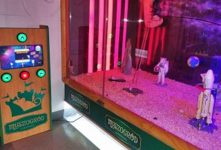 Personalizowane automaty do gier – jak wyróżnić swój biznes?