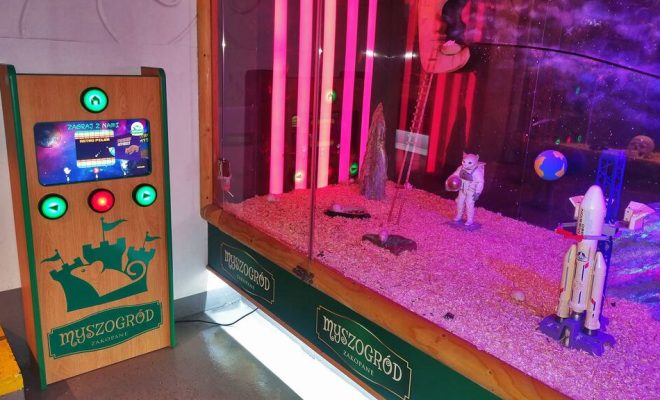 Personalizowane automaty do gier – jak wyróżnić swój biznes?