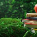 Zielona szkoła - góry czy morze. Co wybrać dla dzieci?