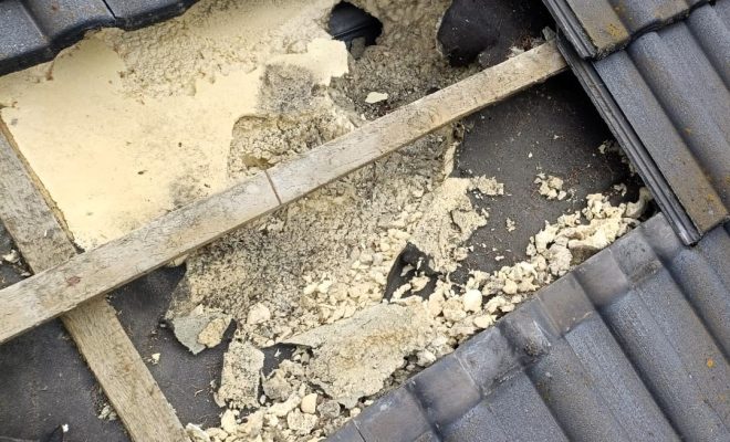 Wypłoszyłeś kunę z poddasza? Sprawdź, czy nie zostawiła po sobie kosztownych szkód