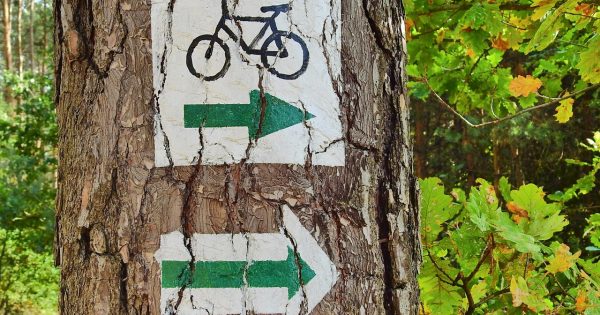 Najlepsza trasa rowerowa w Nysie i okolicach