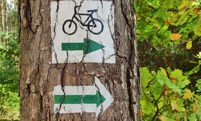 Najlepsza trasa rowerowa w Nysie i okolicach