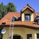 Kuna na poddaszu? Uszkodzona izolacja może oznaczać większe straty ciepła zimą