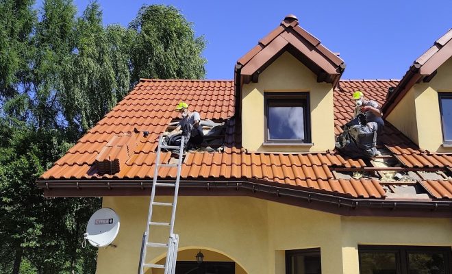 Kuna na poddaszu? Uszkodzona izolacja może oznaczać większe straty ciepła zimą